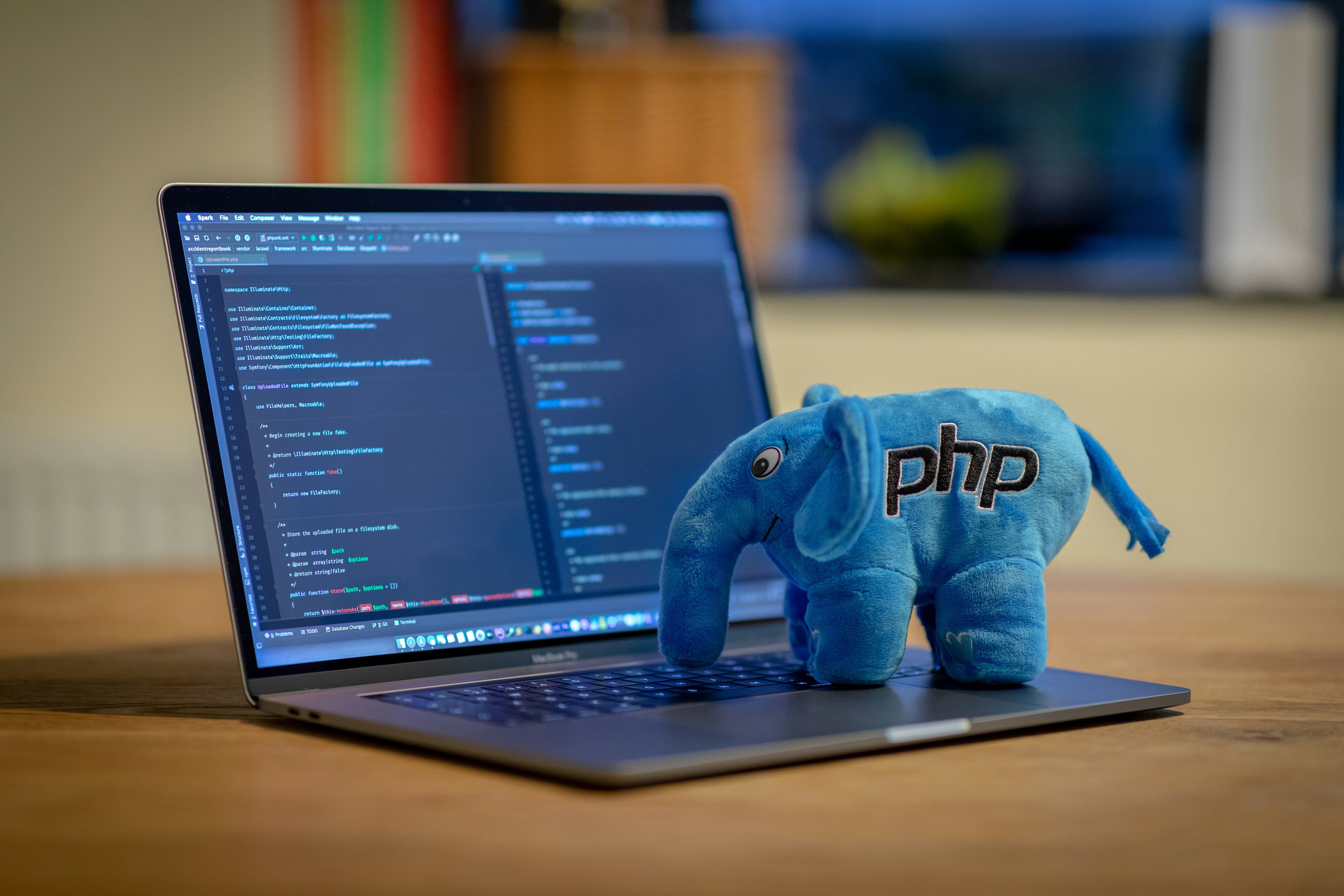 PHP software development